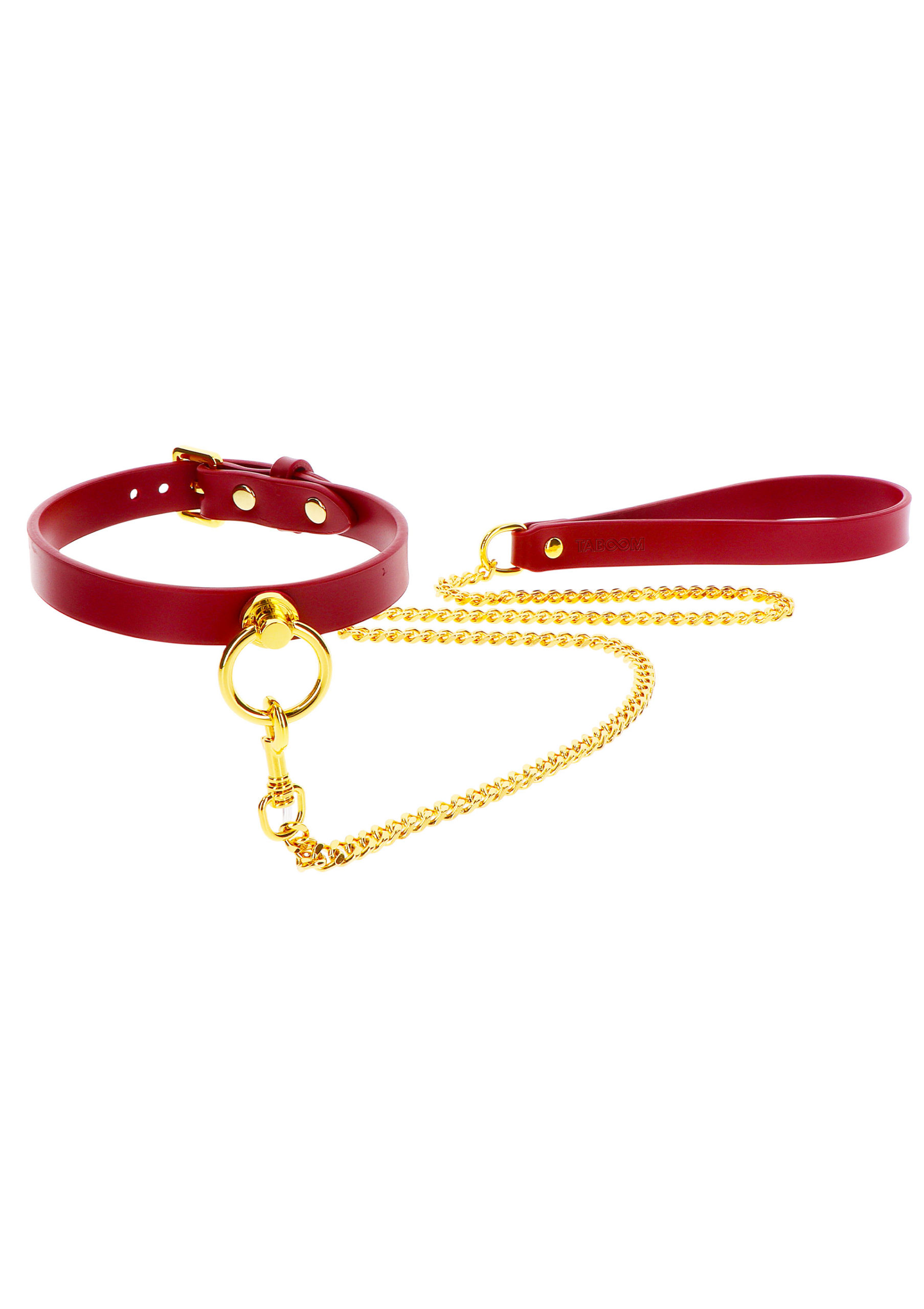 O-Ring Collar and Chain Leash